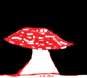 mushroom black