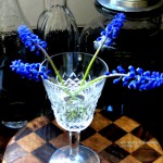 Wild Blue Flowers Series 1