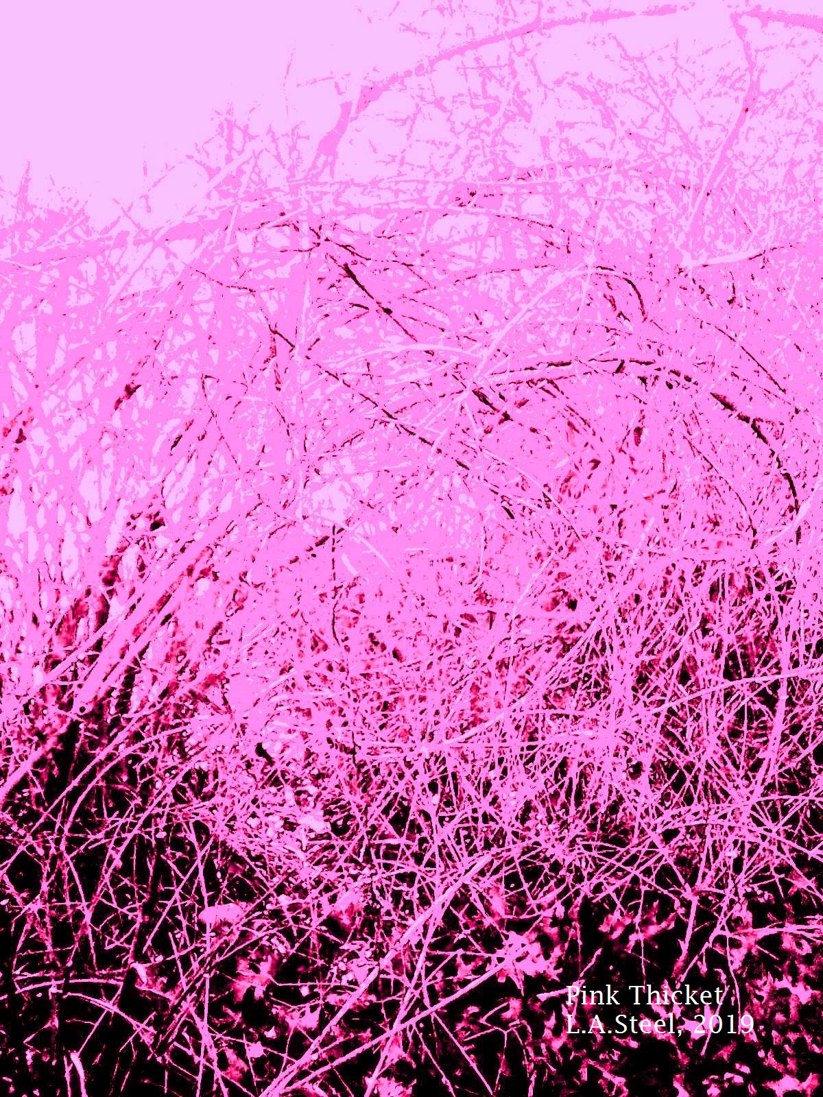 pink thicket 2019