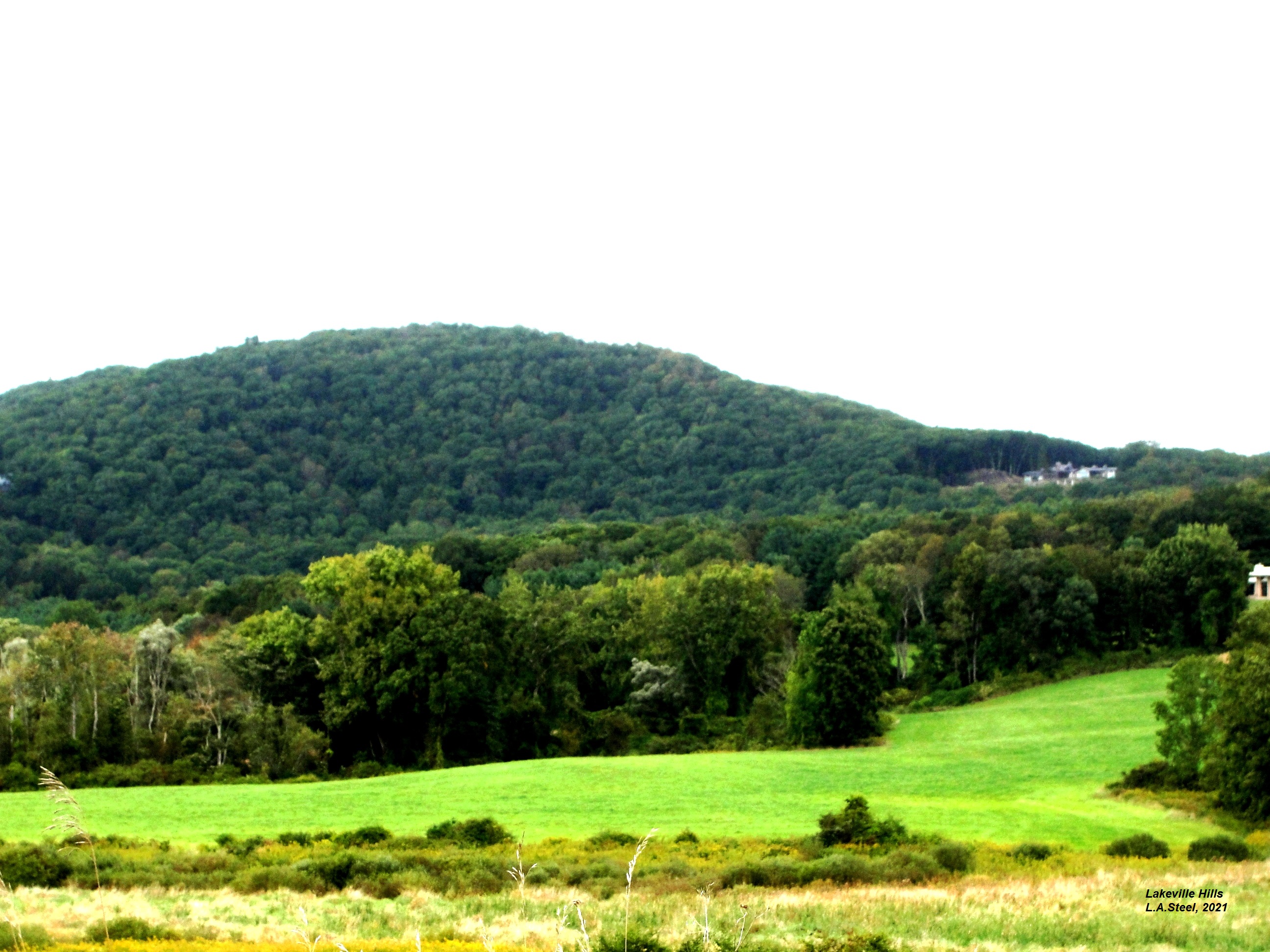 lakeville hills 5 2021